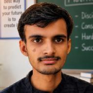 Satyam Class 8 Tuition trainer in Delhi