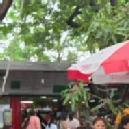 Chinmayi A. Class 12 Tuition trainer in Pune