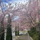 Surbhi G. Spoken English trainer in Sahibzada Ajit Singh Nagar