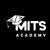 MITS Academy