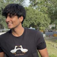 Krrish Saini Class 12 Tuition trainer in Delhi