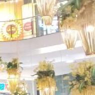 Uk Lama Class 9 Tuition trainer in Kolkata