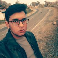 Mayank J. Class 12 Tuition trainer in Jaipur