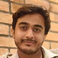Aayush Sharma Class 10 trainer in Palwal