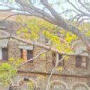 Abhishek Atkare photo