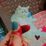 Preeti Class I-V Tuition trainer in Bharatpur