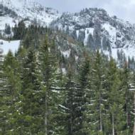 Poonam Hindi Language trainer in Bangalore