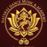 Ponugumati Choreography institute in Krishna