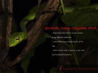 Basics of Shooting the Natural World (wildlife)