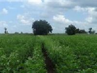 Agriculture and Farming training