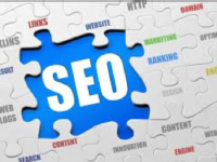 SEO Professional