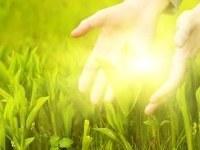Divine Touch Reiki Class  