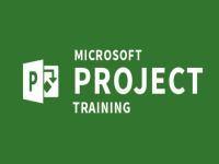 Microsoft Project Professional (MSP) Training (Online/Offline)