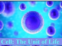 Free class on Fundamental Unit of life : Cell || All topics covered A to Z