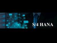 SAP S4 HANA- PS (Project Systems) EPPM