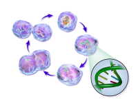 Cell As Basic Unit Of Life