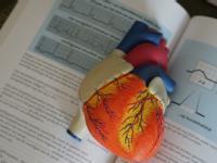 Biology -Circulatory System