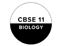 CBSE 11 BIOLOGY