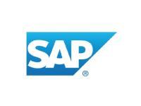 SAP Financials end user and consultant