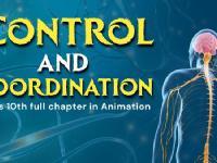 Control and coordination | class 10 biology| 