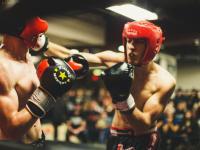 Become a boxer