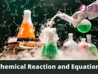 Free Class Of - Types of Chemical Reactions and eEquations 