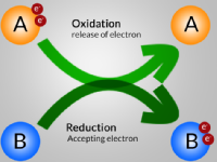 Redox reaction chapter (oxidation - Reduction)