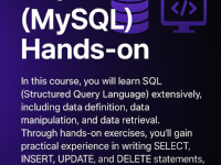 SQL (MySQL)