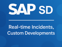 SAP SD - Real time Incidents, Custom Developments and more.