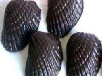 Chocolate Making