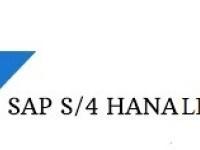 SAP S/4HANA LE & EWM (Logistics Execution & Warehouse Management) Training