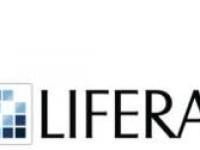 LifeRay Portal Developer Online Training