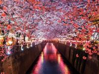 Japanese for Beginners: Learn Hiragana, Katakana & Basic Phrases