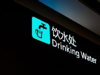 Chinese for Beginners: Master Pinyin and Basic Vocabulary