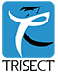 Trisect Java institute in Noida