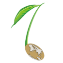 Beej Academy Violin institute in Chennai