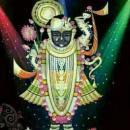 Can Ha Immigration Consultants photo