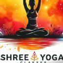 Shree Yoga Institute photo