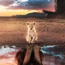 Sujoy B. Class 11 Tuition trainer in Kolkata