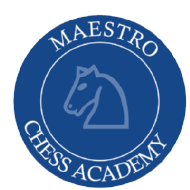 Maestro Chess Academy Chess institute in Hyderabad