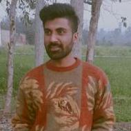 Rishabh Yadav Painting trainer in Thanesar