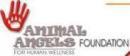 Photo of Animal Angels Foundation