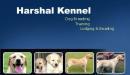 Photo of HARSHAL KENNEL