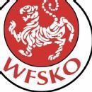 WFSKO Self Defence Classes photo