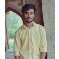 Ankit Kumar Class 11 Tuition trainer in Delhi