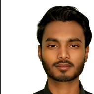 Aman Raj Class I-V Tuition trainer in Khagaul