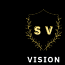 SV Vision Infotech photo