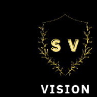 SV Vision Infotech SAP institute in Hyderabad