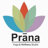 Prana Yoga Yoga institute in Lucknow