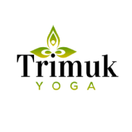 Trimuk Yoga Studio Yoga institute in Bangalore